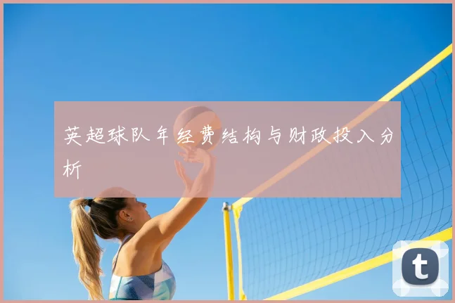 英超球队年经费结构与财政投入分析