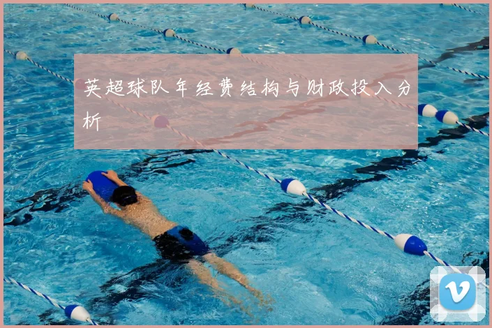 英超球队年经费结构与财政投入分析